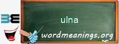 WordMeaning blackboard for ulna